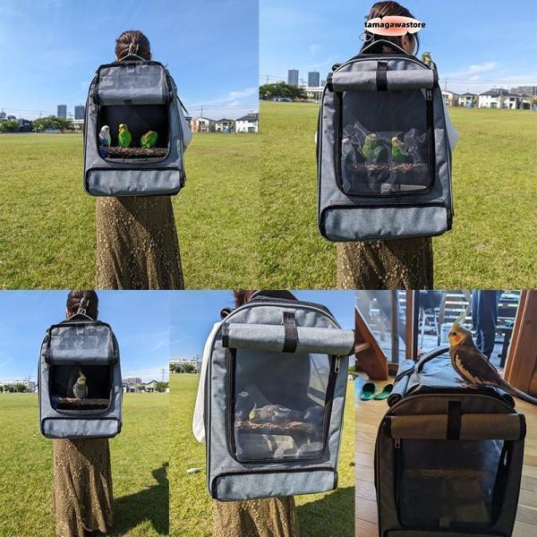 キャリーケージバッグ お出かけ 通院 インコ ルーミィ用 kotori様