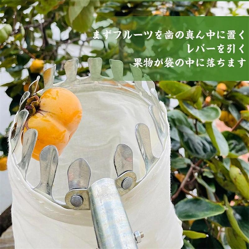 フルーツピッカー 果物取り 高枝切りばさみ 伸縮式 高枝鋏 果物 収穫ツール ピッキングツール 果物キャッチャー 軽量 ベリーピッカー 果樹用フルーツピッカー |  | 02
