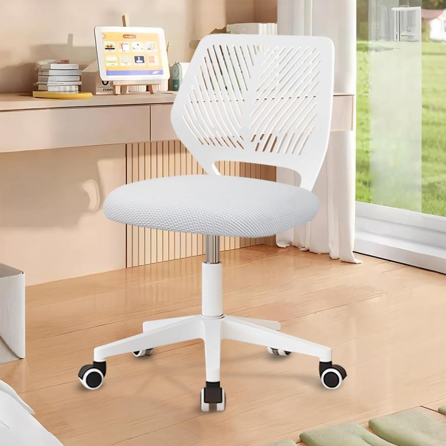 銘花 ヒライHirai 椿 鉢底約100cm B