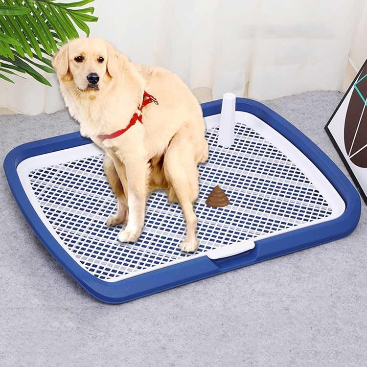 ペットトイレレイー 大型犬トイレ トレイ ワイド 犬用 マーキングポール フチ付き トレーニング しつけ メッシュ しつけるウォールトレー ボックス屋 | ブランド登録なし | 01