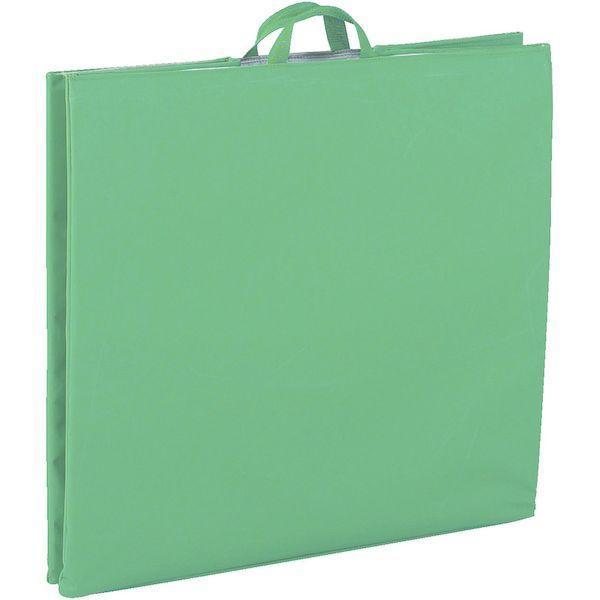 【個数：1個】 トラスコ TRUSCO THB-100C ハンドトラックボックス ６００Ｘ４５０ 保冷タイプ THB100C 277-6928 |  | 02