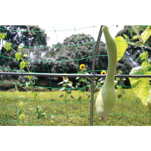 アイリスオーヤマ（IRIS）［GCP-550］ １０１７４８ グリーンカーテン用プランター ５５０ GCP550 414-2039 101748 |  | 03