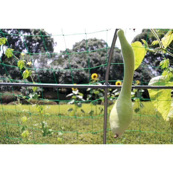 アイリスオーヤマ（IRIS）［GCP-750］ グリーンカーテン用プランター GCP750 414-2047 ハーブグリーン |  | 03