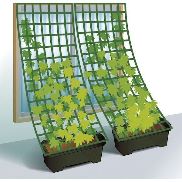 アイリスオーヤマ（IRIS）［GCP-750］ グリーンカーテン用プランター GCP750 414-2047 ハーブグリーン |  | 05