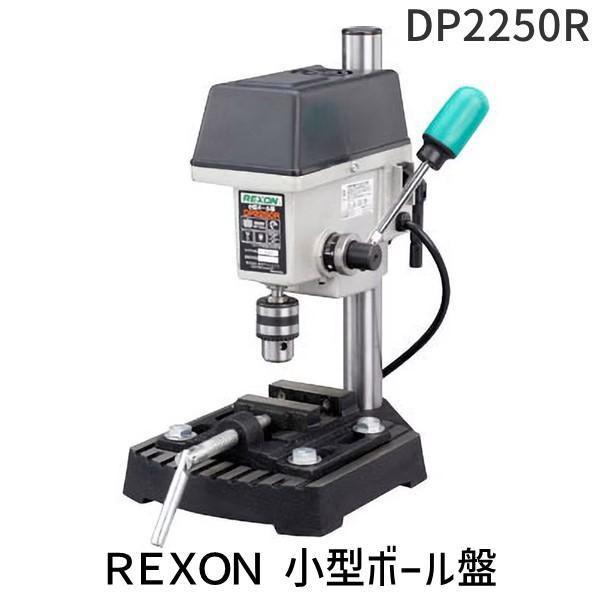 東洋アソシエイツ 16110 REXON 小型ボール盤 DP2250R 直送 代引不可 他メーカー同梱不可 | 