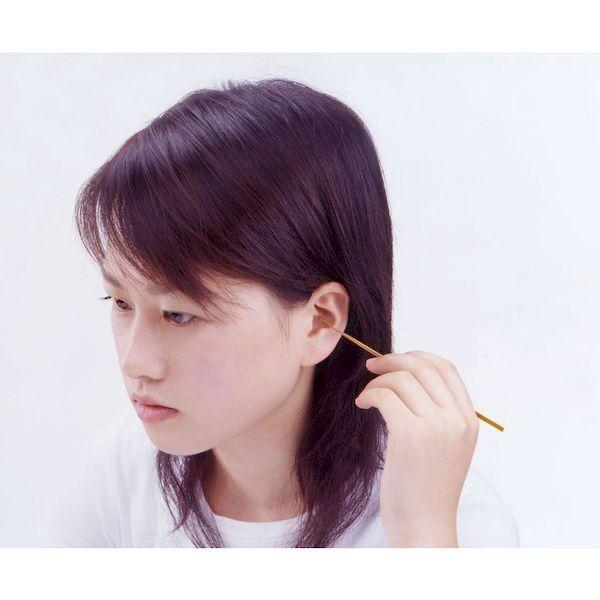 あすつく対応 「直送」 グリーンベル G-2153 煤竹耳かき ２本組 全長１４３ｍｍ G2153 煤竹耳かき 最高級 |  | 04