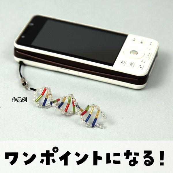 アーテック ArTec 093429 ＤＮＡストラップ作り 4521718934297 DNAモデルストラップ作り |  | 02
