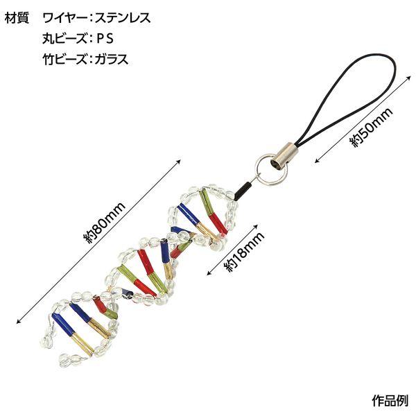 アーテック ArTec 093429 ＤＮＡストラップ作り 4521718934297 DNAモデルストラップ作り |  | 04