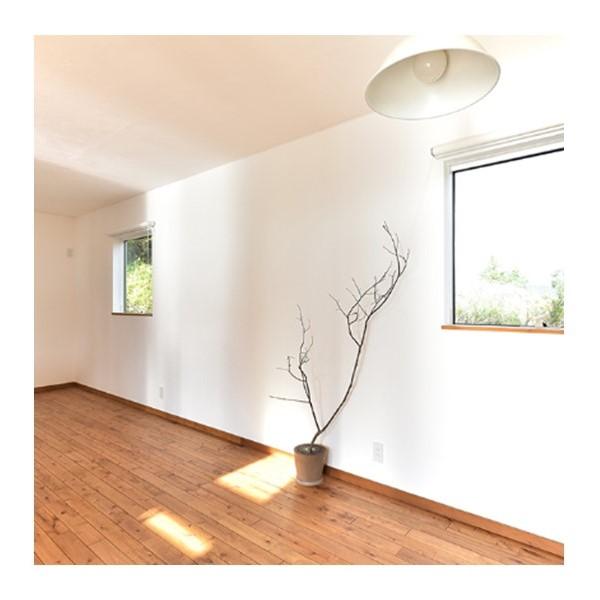 在庫 日本プラスター  12UN01 うま〜くヌレール　５ｋｇ　白色 あすつく対応 |  | 09