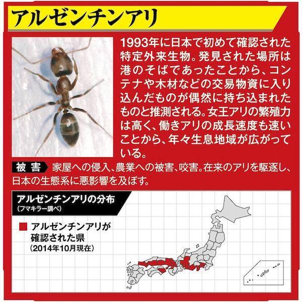 あすつく対応 「直送」 フマキラー 423402 アリ用殺虫剤 アルゼンチンアリ巣ごと退治液剤１．８Ｌ |  | 03