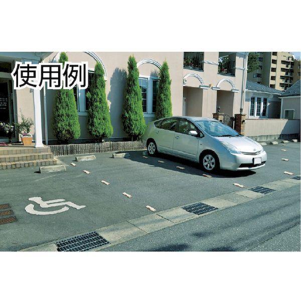 あすつく対応 「直送」 リッチェル  498613 Ｎラインマーカー２０９Ｒ |  | 01