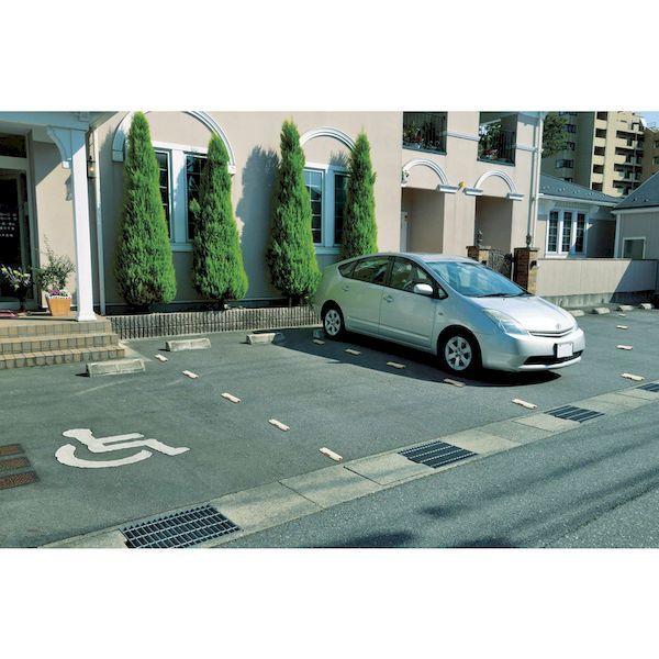 あすつく対応 「直送」 リッチェル  498613 Ｎラインマーカー２０９Ｒ |  | 02