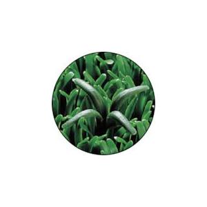 あすつく対応 「直送」 テラモト  MR0012949 ユニットターフα中ふちメス MR-001-294-9 TERAMOTO | ブランド登録なし | 02