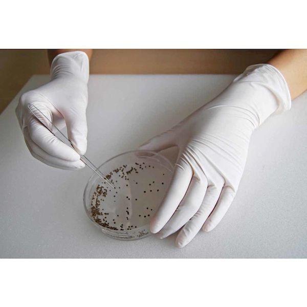 あすつく対応 「直送」 ショーワ  NO884LL ニトリルゴム使い捨て手袋 Ｎｏ８８４ ニトリスト・ホワイト １００枚入 ＬＬサイズ |  | 04