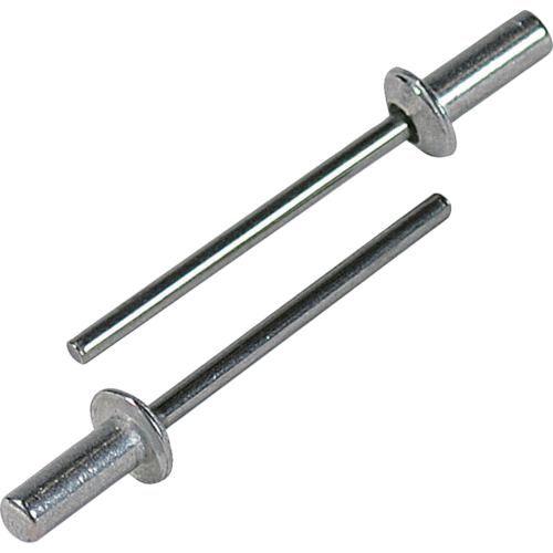 あすつく対応 「直送」 エビ［NSA52C］ ブラインドリベット・シールドタイプ アルミ／スティール ５−２ １０００本入 | 