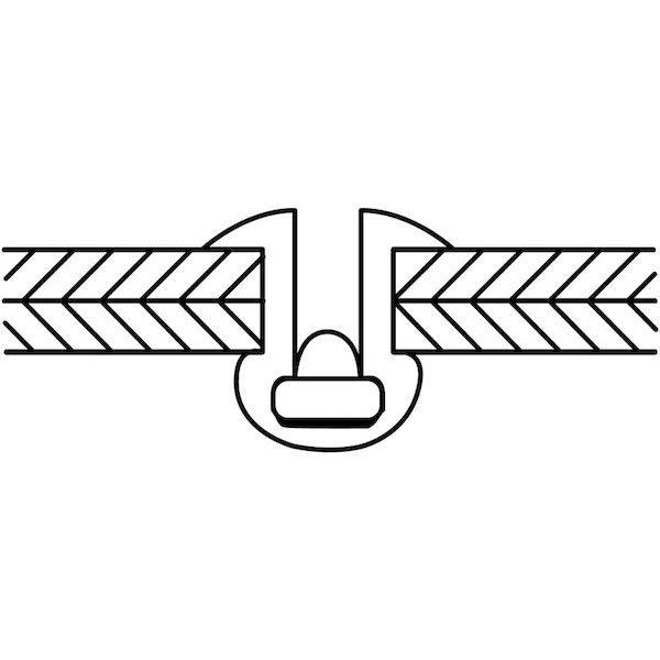 あすつく対応 「直送」 エビ［NSA52C］ ブラインドリベット・シールドタイプ アルミ／スティール ５−２ １０００本入 |  | 03