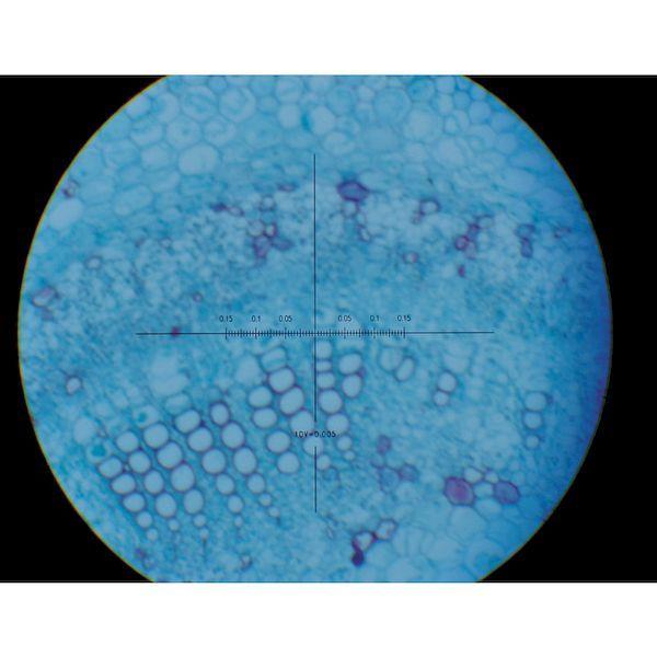 あすつく対応 「直送」 スギトー  TS8LEN20WT ミクロメーター | ブランド登録なし | 02