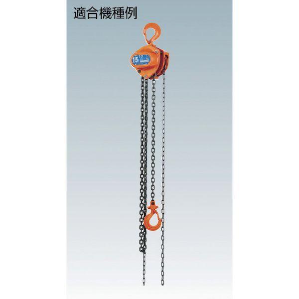 象印  YC21005017 Ｃ２１ー０．５ｔ用下フックセット ＹＣ２１−００５０１７ |  | 01