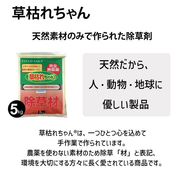 在庫 4936980520695 草枯れちゃん ５ｋｇ 完全無農薬除草材 非農耕地専用 旭東 除草材草枯れちゃん5kg 日本製 除草剤 人とペットに優 あすつく対応 |  | 01
