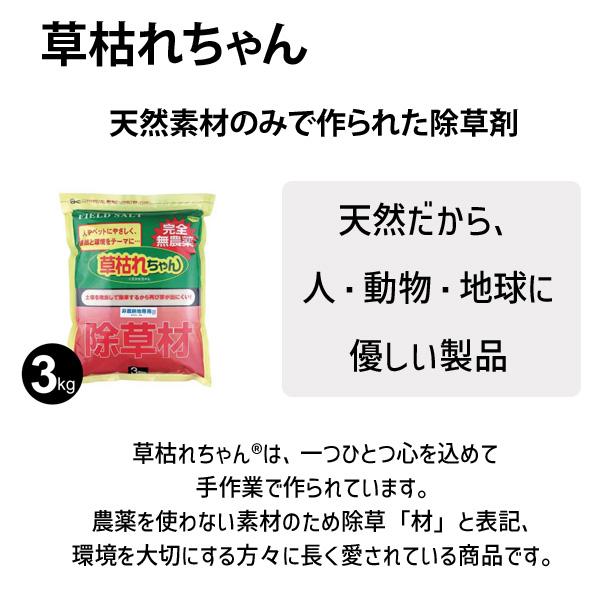 在庫 4936980520763 草枯れちゃん　３ｋｇ あすつく対応 |  | 01