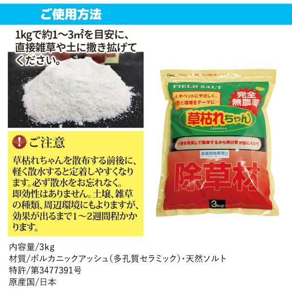 在庫 4936980520763 草枯れちゃん　３ｋｇ あすつく対応 |  | 08