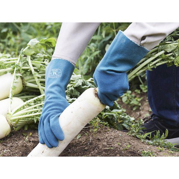 あすつく対応 「直送」 【個数：1個】 トウワコーポレーション  1562L 天然ゴム手袋 ニューロング ＬＬ |  | 03