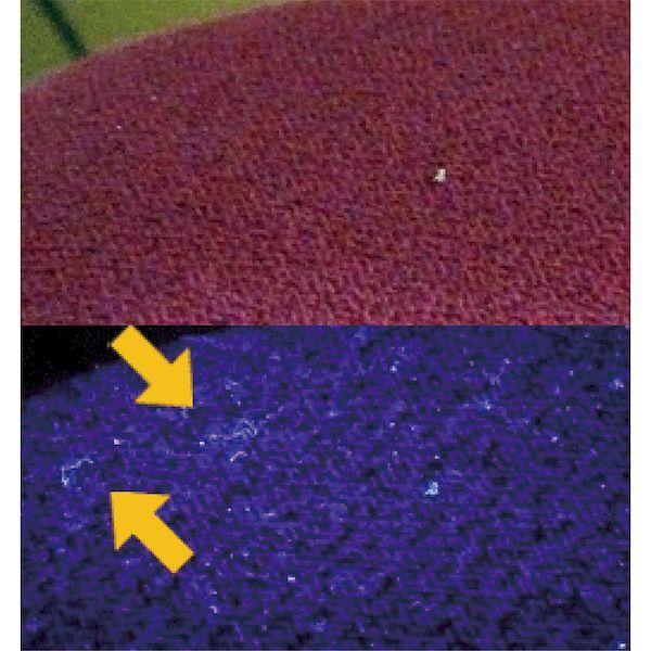 あすつく対応 「直送」 コンテック  PW-UV343H-02 ３灯パワーブラックライト PWUV343H02 |  | 03