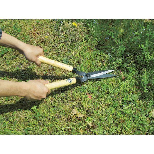 あすつく対応 「直送」 五十嵐刃物 B-14 ミニ芝生刈鋏 B14 |  | 03