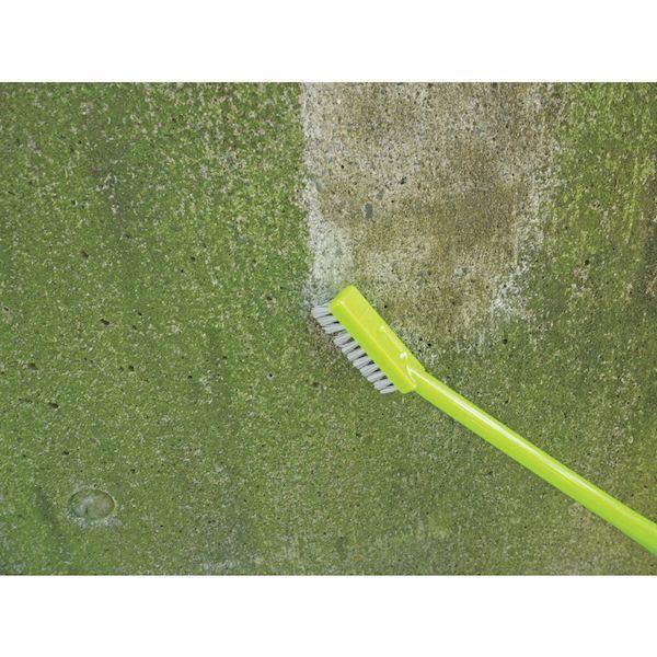 あすつく対応 「直送」 アズマ工業  4970190491062 ハンドブラシ ＢＡ７２６ コケ取りブラシナイロン |  | 04