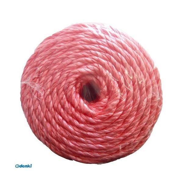 宮島化学工業  CR053 PPロープ 赤 幅5mm×長さ80m |  | 01