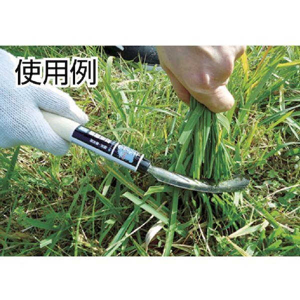 あすつく対応 「直送」 ＤＡＩＳＨＩＮ  302170  鉄光　改良鋸鎌 302170 |  | 01