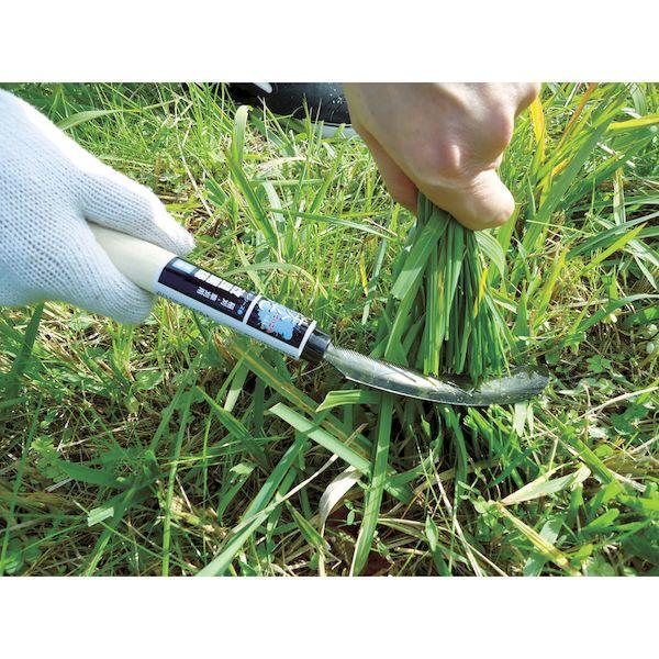 あすつく対応 「直送」 ＤＡＩＳＨＩＮ  302170  鉄光　改良鋸鎌 302170 |  | 02