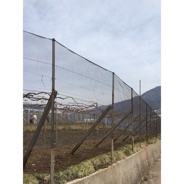 【個数：1個】 Ｄｉｏ 403658 直送 代引不可・他メーカー同梱不可 景観保護ネット　目合い４ｍｍ目　幅２Ｘ長さ５０ｍ　景観保護色ブラウン 403 |  | 01