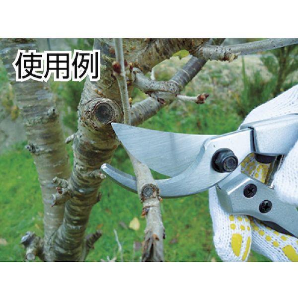 あすつく対応 「直送」 ＤＡＩＳＨＩＮ  502099  ＥＧ　アルミダイキャスト剪定鋏ＤＸ 502099 |  | 02