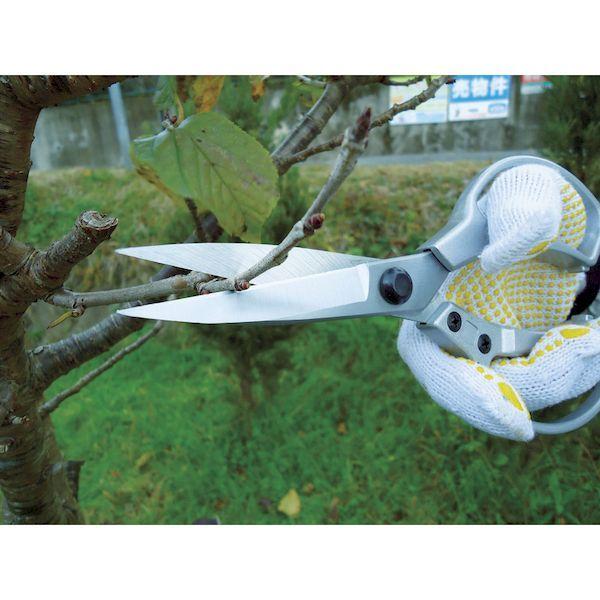 あすつく対応 「直送」 ＤＡＩＳＨＩＮ  502105  ＥＧ　アルミダイキャスト植木鋏ＤＸ 502105 |  | 02