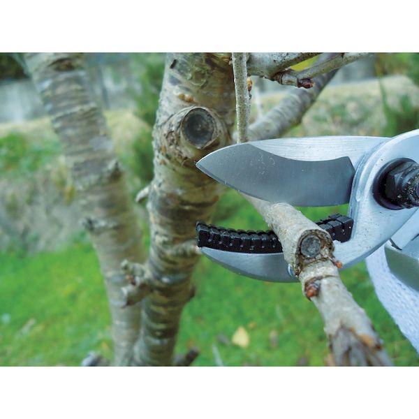 あすつく対応 「直送」 ＤＡＩＳＨＩＮ  502136  ＥＧ　アルミダイキャスト剪定鋏　アンビル型 502136 |  | 03