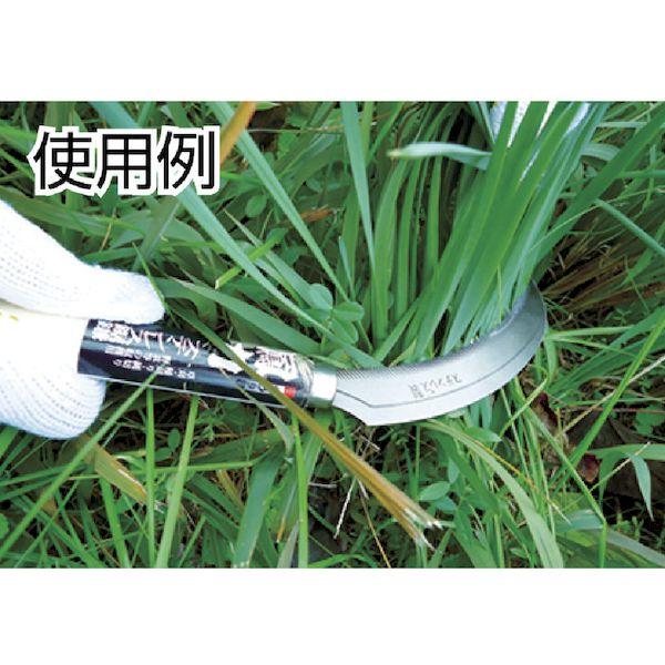 あすつく対応 「直送」 ＤＡＩＳＨＩＮ  800478  鳳力　ステンレス鋸鎌 800478 |  | 01