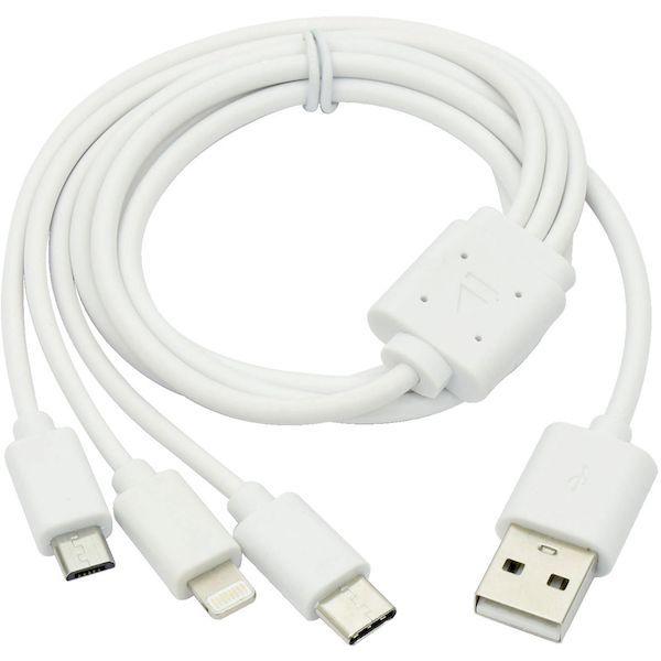 あすつく対応 「直送」 日動  AS-1224JS-S  エンジンスターター ビッグバンＦ１ AS1224JSS 日動工業 |  | 02