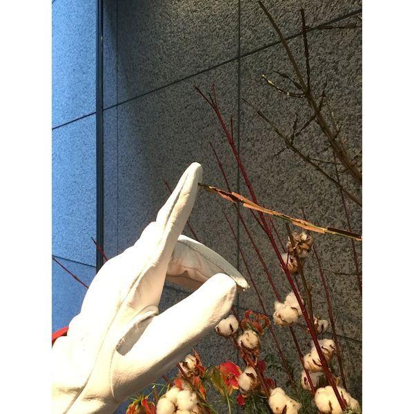 あすつく対応 「直送」 シモン  CG717-L  牛本革手袋　ＣＧ７１７ CG717L |  | 03