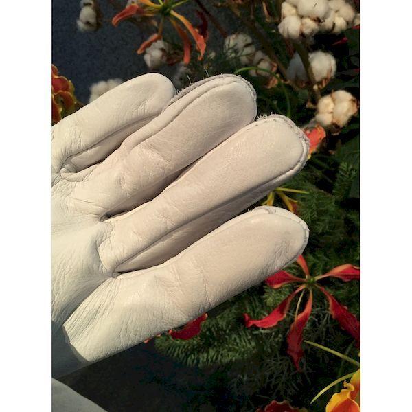 あすつく対応 「直送」 シモン  CG717-L  牛本革手袋　ＣＧ７１７ CG717L |  | 04