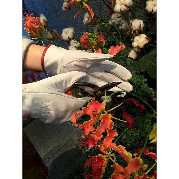 あすつく対応 「直送」 シモン  CG717-L  牛本革手袋　ＣＧ７１７ CG717L |  | 06