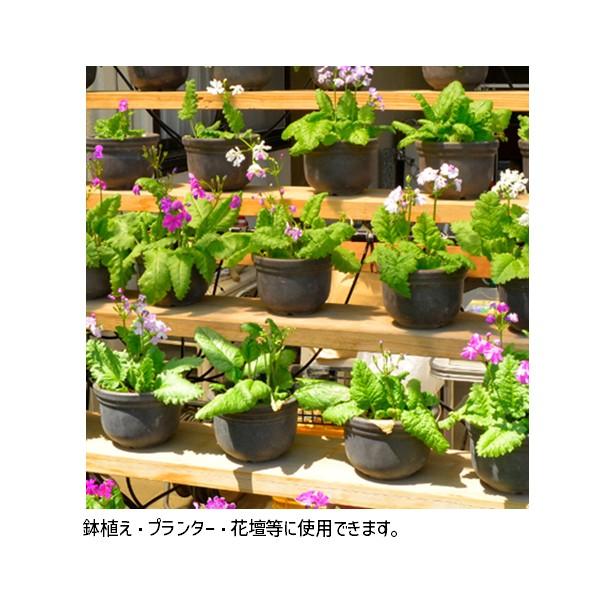 在庫 タカギ GKS107 ミストスプレーセット GKS107 takagi 自動水やり パーツ 【安心のメーカー2年間保証】 あすつく対応 |  | 05