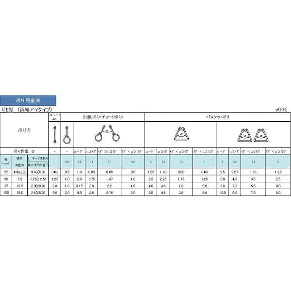あすつく対応 「直送」 ＴＥＳＡＣ  PP2E25X3  耐化学薬品用スリング（ＪＩＳ２等級・両端アイ形）２５ｍｍ幅×３ｍ PP2E25X3 | ブランド登録なし | 02