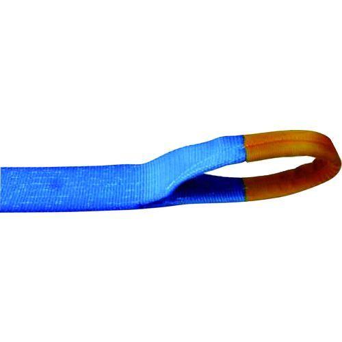 あすつく対応 「直送」 【個数：1個】 ＴＥＳＡＣ  R100E010-070A  ラッシングベルト（ベルト荷締機）ラチェットバックル式アイタイプ R100E010070A | 