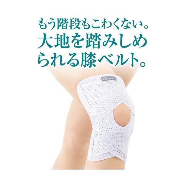 【予約受付中】【1月上旬頃入荷予定】アルファックス  202646 お医者さんのがっちり膝ベルト 3L |  | 01