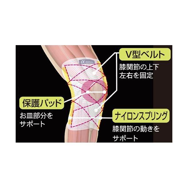 【予約受付中】【1月上旬頃入荷予定】アルファックス  202646 お医者さんのがっちり膝ベルト 3L |  | 03