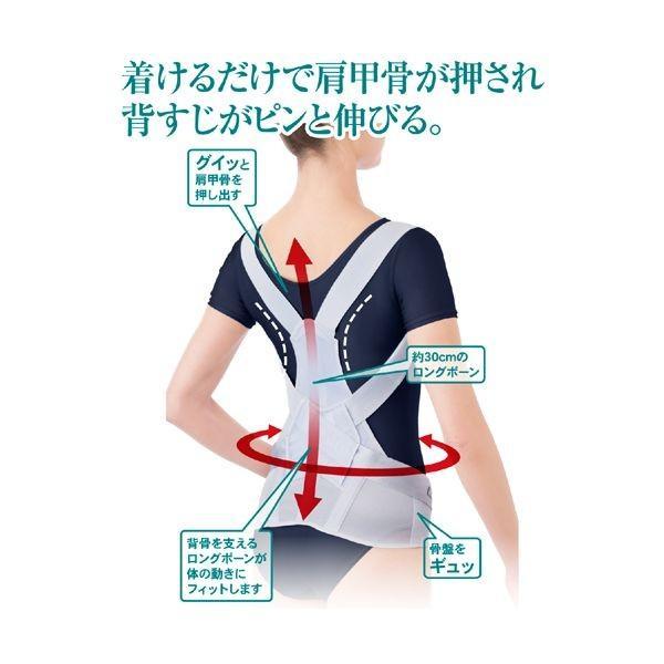 アルファックス 202806 お医者さんのがっちり背すじベルト M−L |  | 01