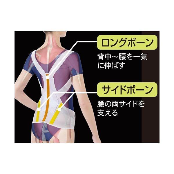 アルファックス 202806 お医者さんのがっちり背すじベルト M−L |  | 03