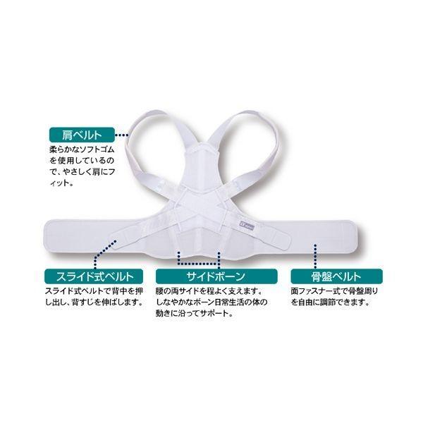 アルファックス 202806 お医者さんのがっちり背すじベルト M−L |  | 04