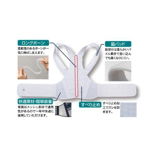 アルファックス 202806 お医者さんのがっちり背すじベルト M−L |  | 05